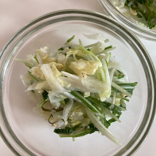 白菜と水菜の浅漬けサラダ風